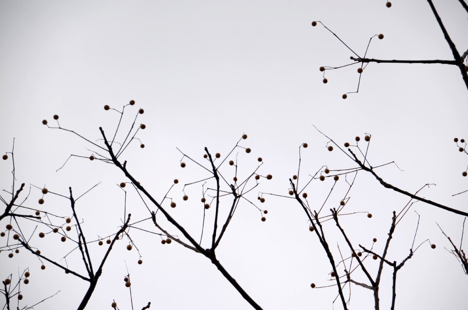 Sky 陰 natural