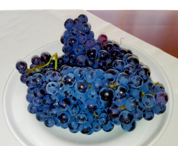 Fruit food dish