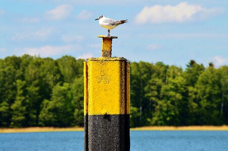 Werbellinsee water rest