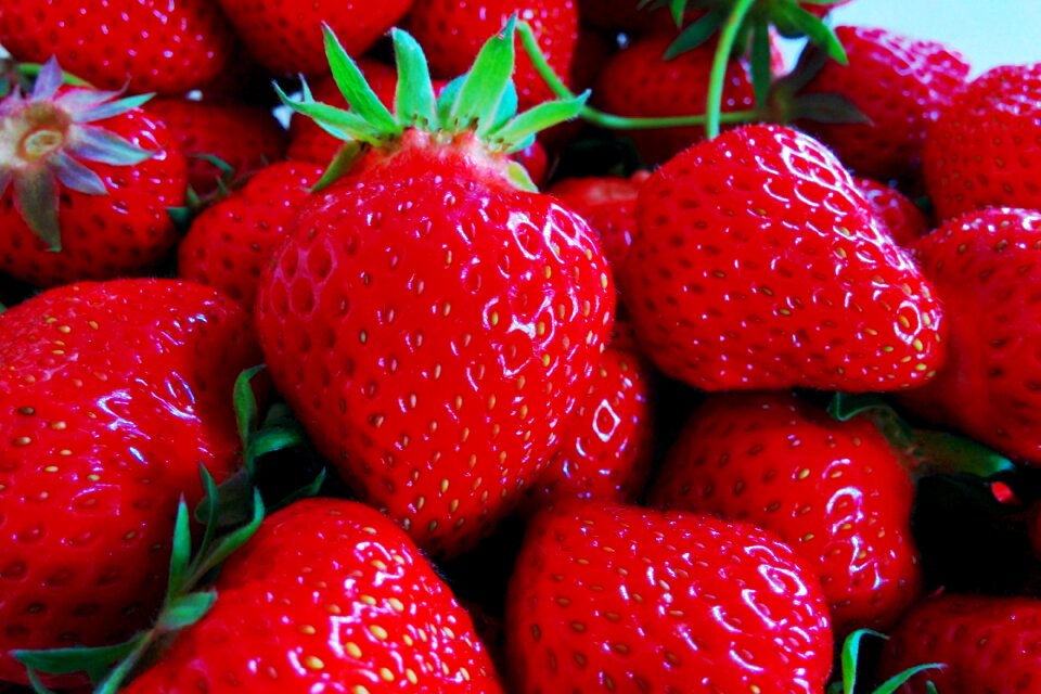 Red summer fruit