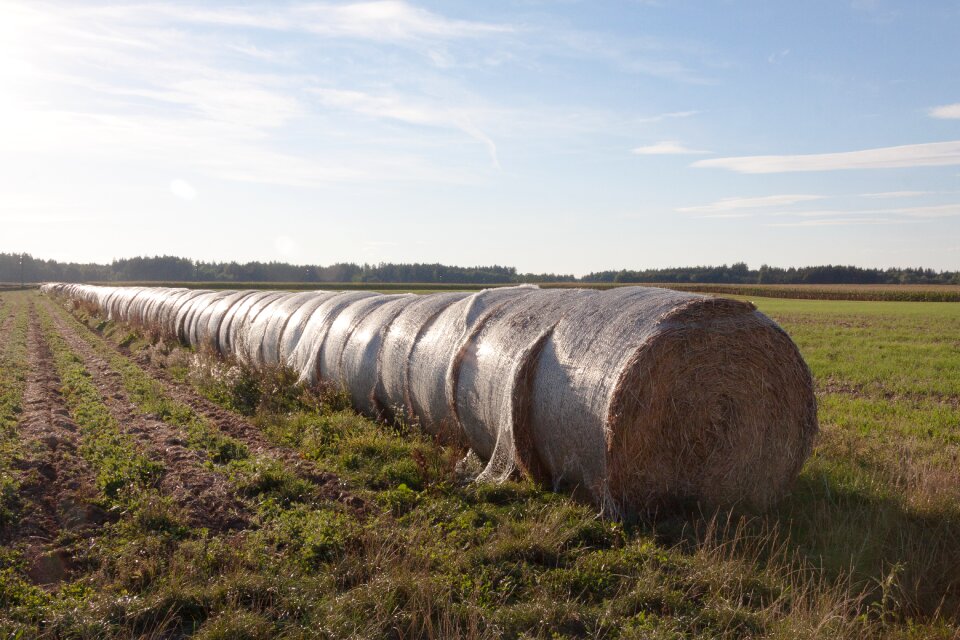 Agriculture hay harvest