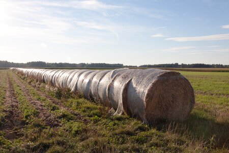 Agriculture hay harvest
