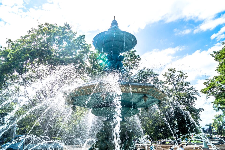 Park garden summer