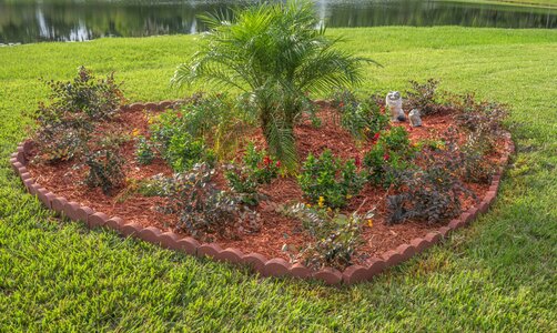 Flowers heart shape garden nature