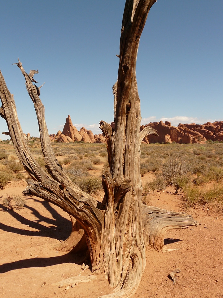 Dry desert utah