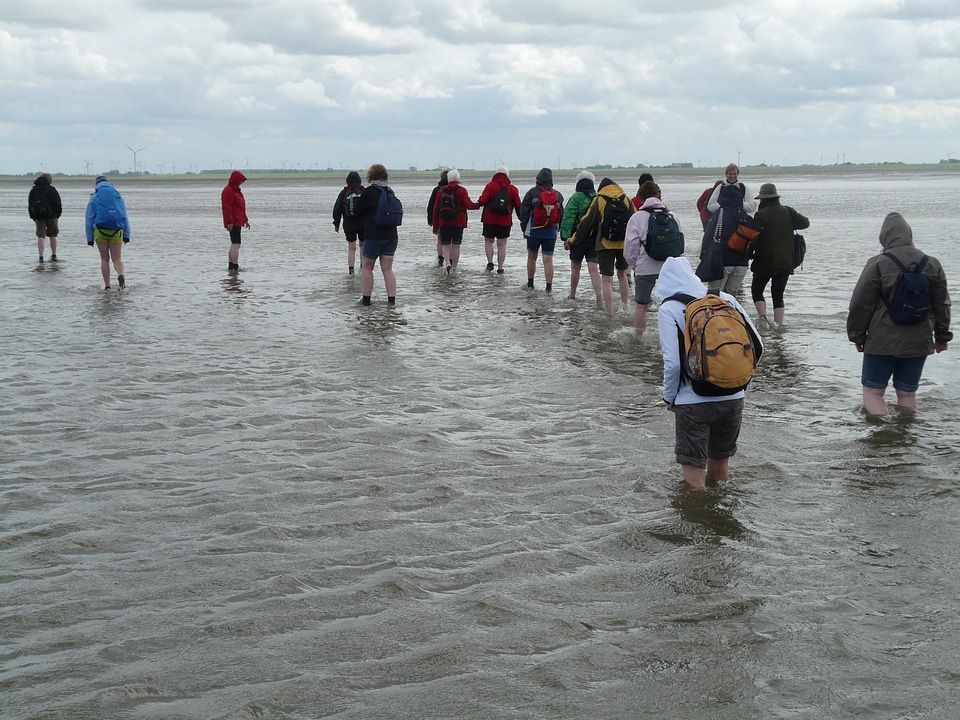 Wadden sea ford personal