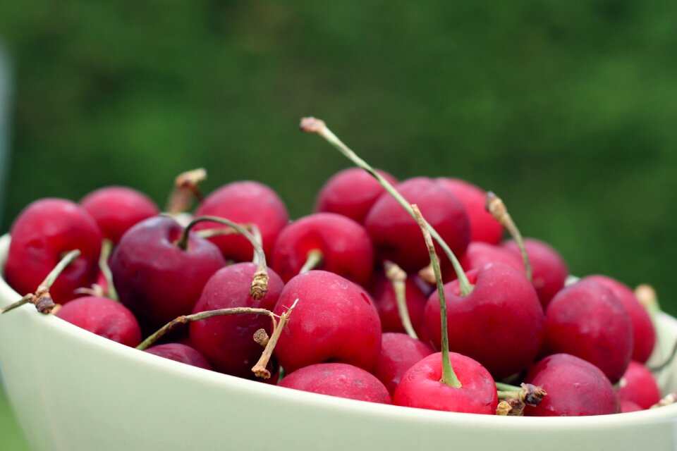 Fruit red collection