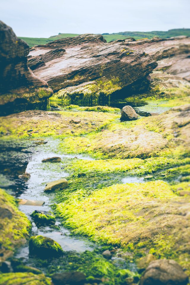 Flowing nature landscape