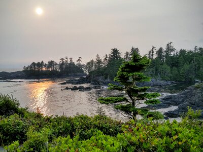Uclulet british columbia