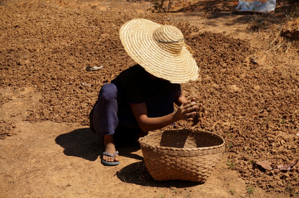 Farmer rural landscape