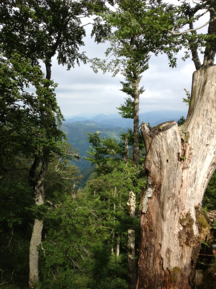 Strain panorama nature