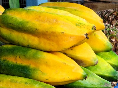 Exotic fruits papayas colorful