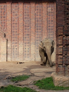 Zoo leipzig leipzig zoo
