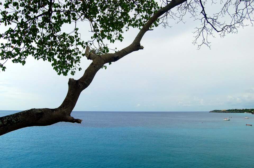 Tropical caribbean netherlands antilles photo