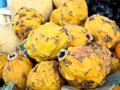 Market exotic fruits colorful