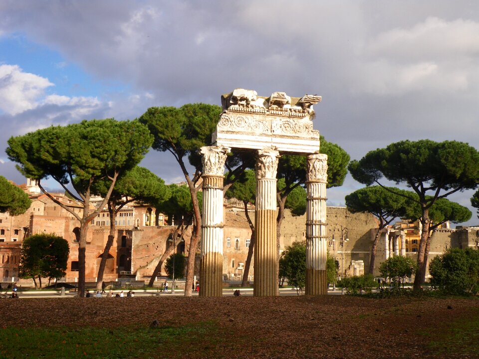 Forum antiquity pine