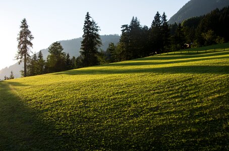 Landscape meadow mood