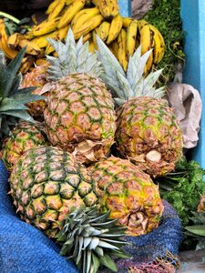 Exotic fruits pineapple colorful