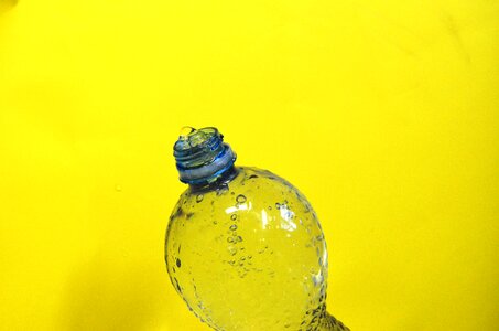 Pet yellow background