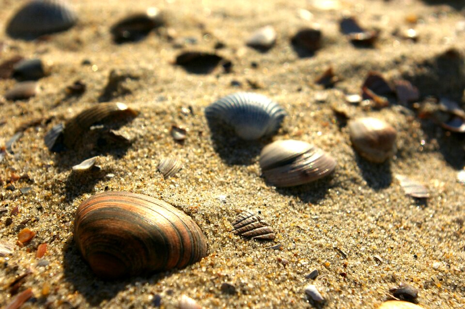 Sand beach
