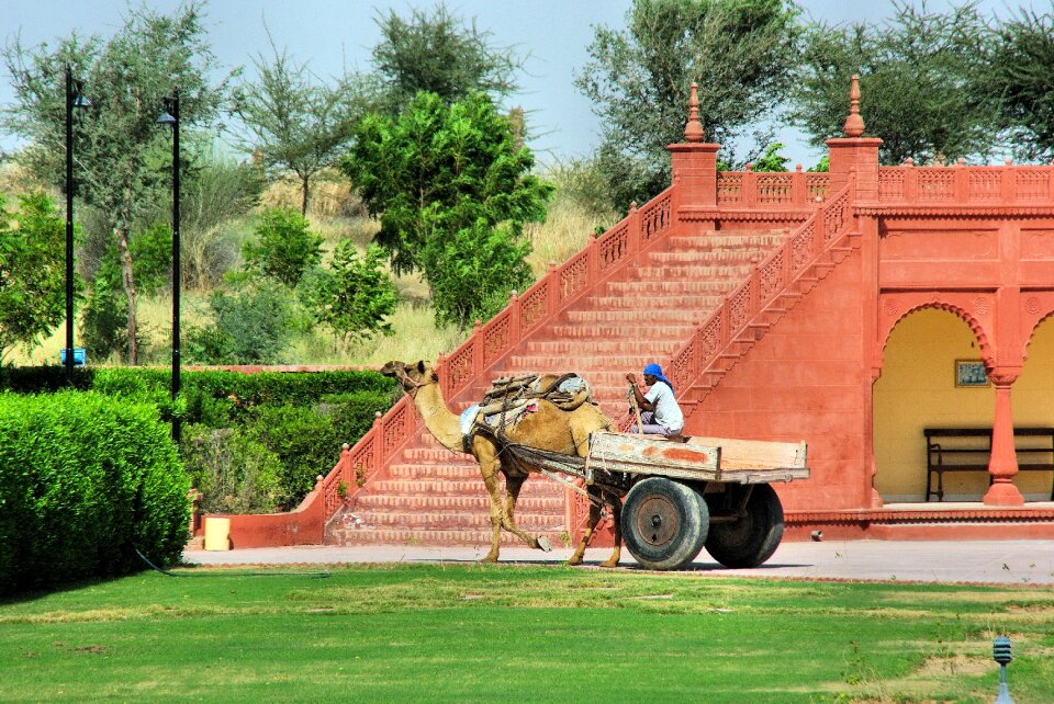 Vehicle hitch dromedary