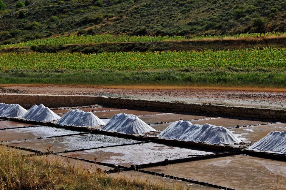 Salinas landscape salado