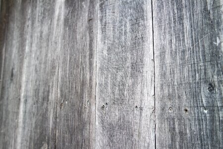Wood treehouse tree