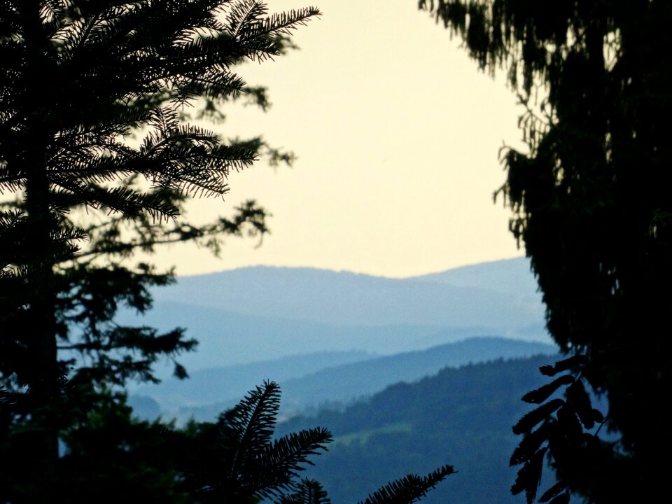 Pastel blue landscape