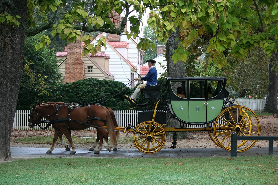 Harnesses reins travel