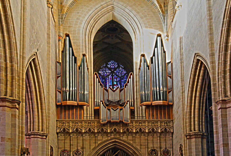 Ulm organ whistle instrument