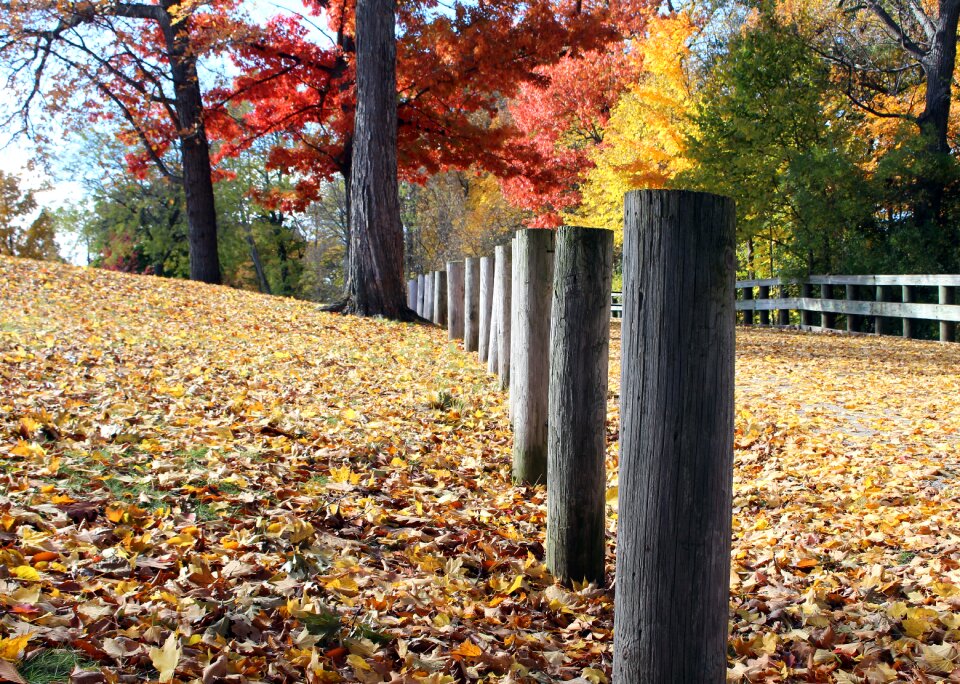 Fall fence park