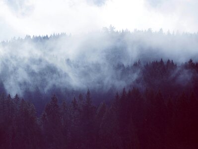 Mist mystic atmospheric photo