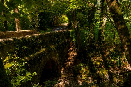 Forest annecy france