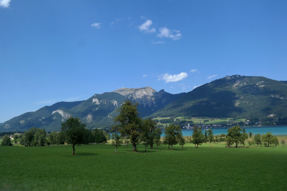 Meadow mountains trees