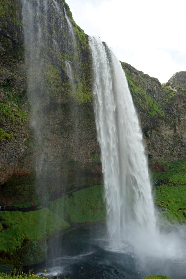 Landscape water force