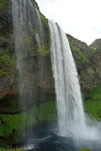 Landscape water force
