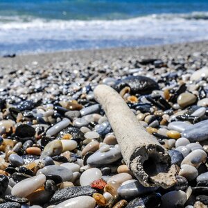 Beach sea costa photo