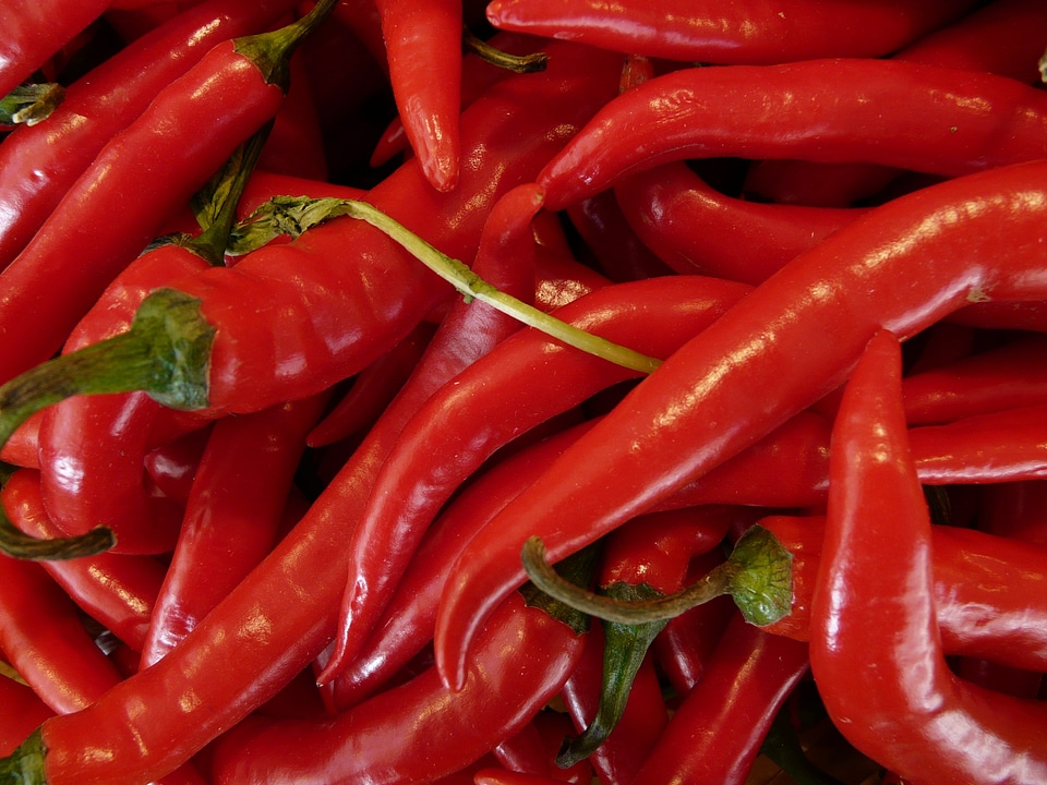 Capsaicin nachtschattengewächs red