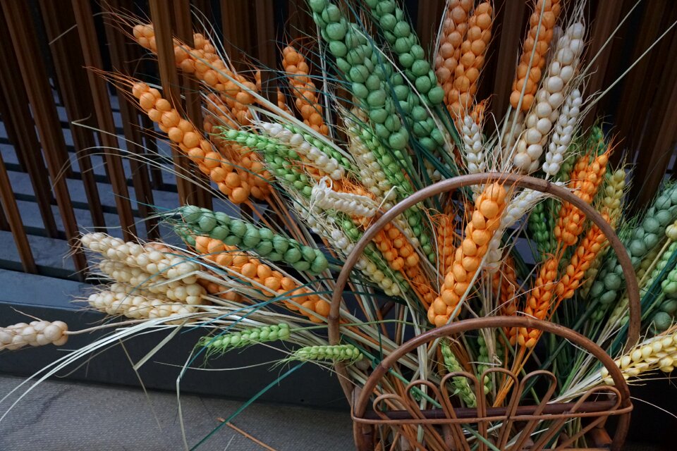 Wheat plastic grain