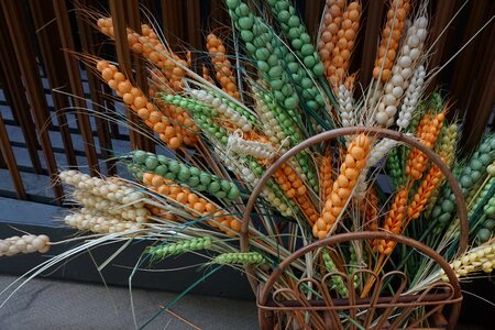 Wheat plastic grain