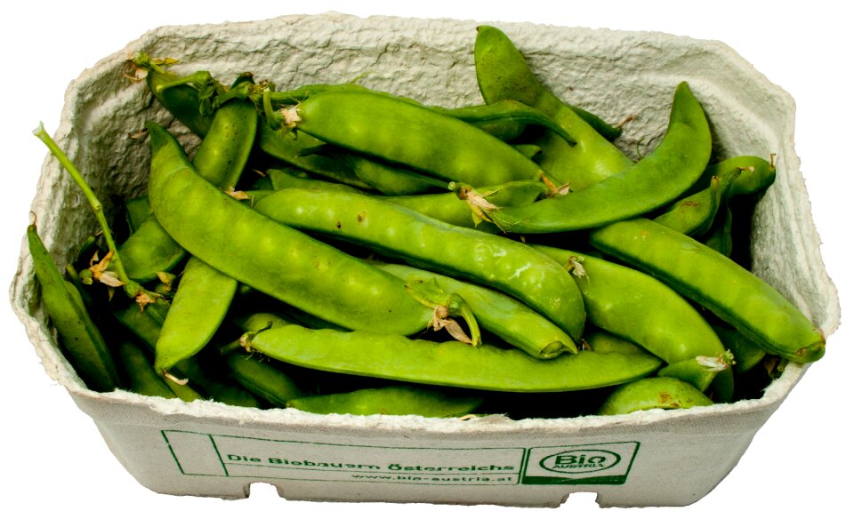 Vegetables green healthy