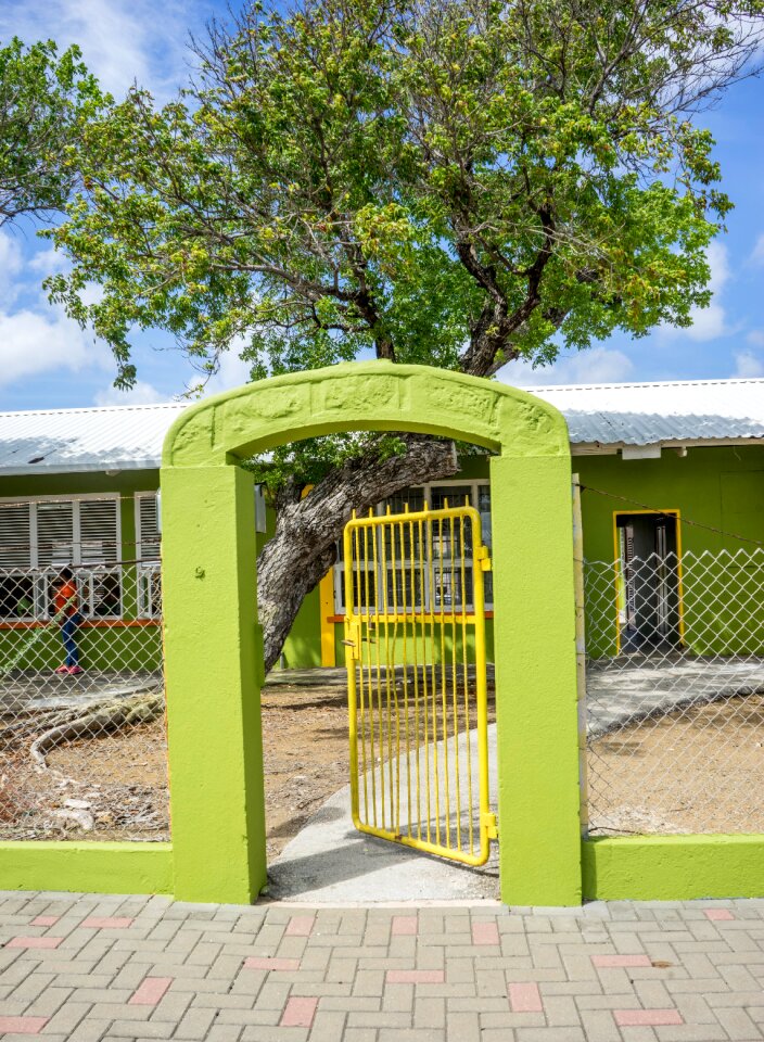 Tropical education learning
