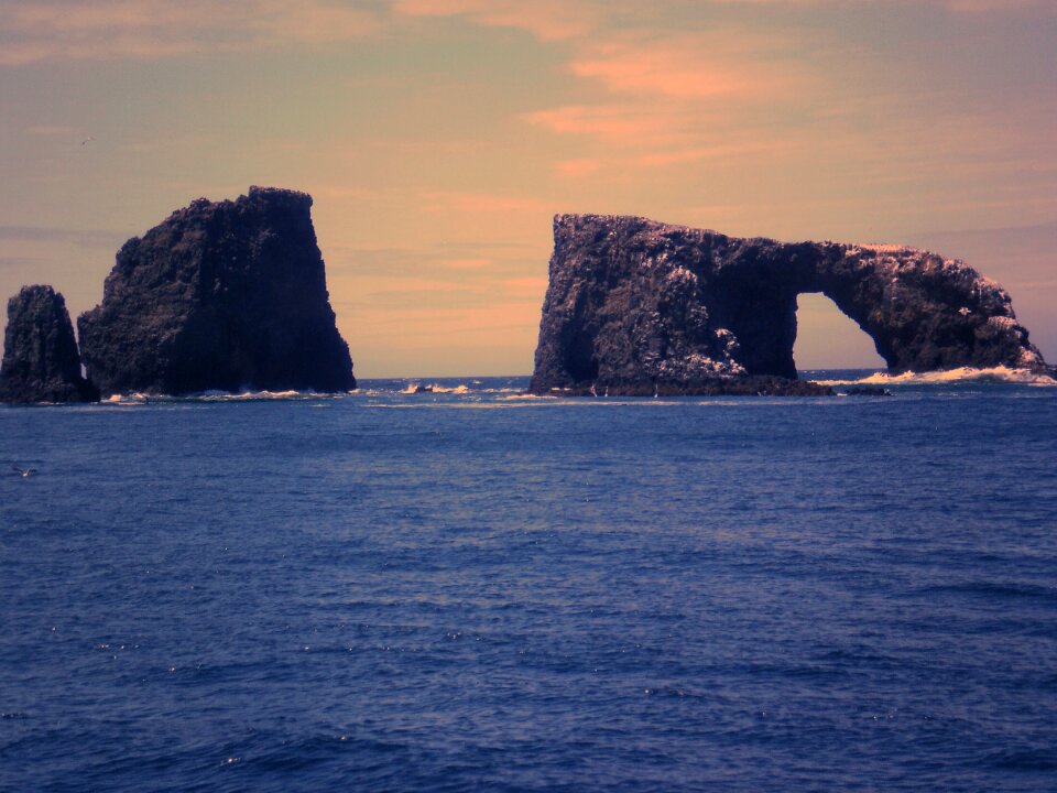 Summer landscape view