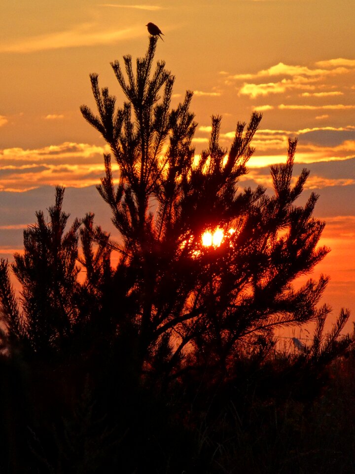 Poland sunset landscape photo