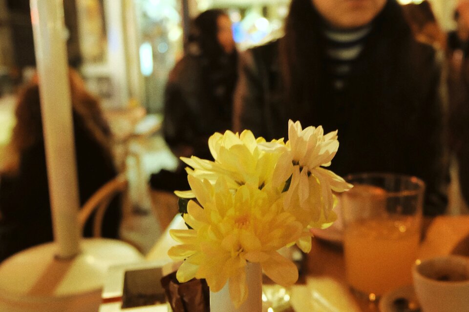 Vase people