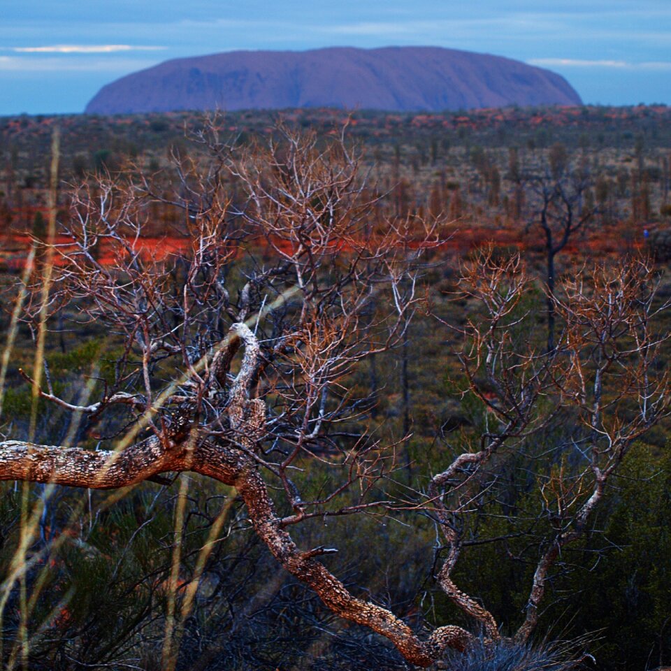 Outback australia red