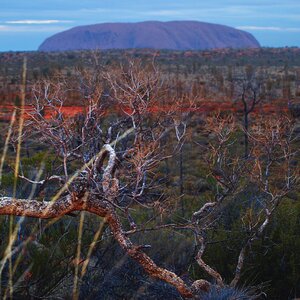 Outback australia red photo