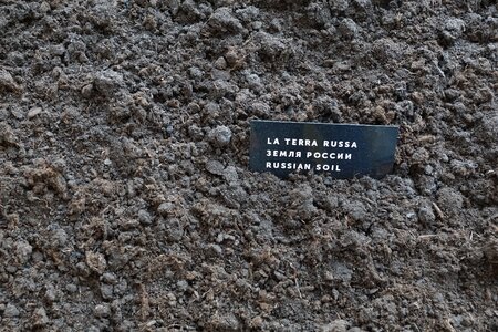 Black plant russian