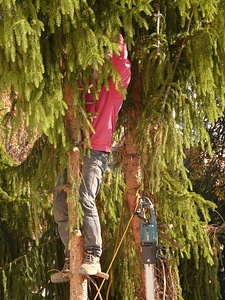 Woodworks saw work