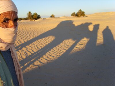 Dunes silhouettes sand dunes photo